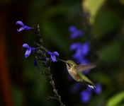2023 09 17 LongFellowGardens 016